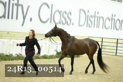 24R13_00514 thumbnail