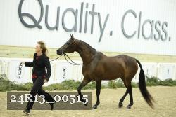 24R13_00515 thumbnail
