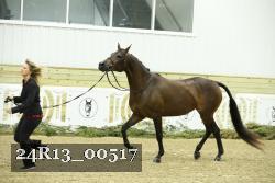 24R13_00517 thumbnail