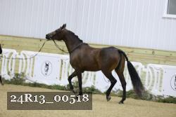 24R13_00518 thumbnail