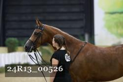 24R13_00526 thumbnail