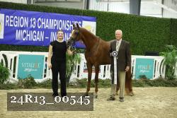 24R13_00545 thumbnail