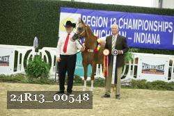24R13_00548 thumbnail
