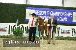 24R13_00549 thumbnail