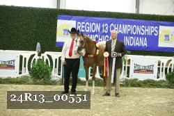 24R13_00551 thumbnail