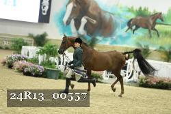 24R13_00557 thumbnail