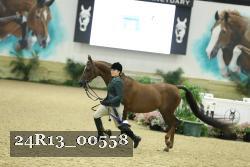 24R13_00558 thumbnail