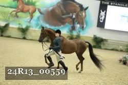 24R13_00559 thumbnail