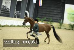 24R13_00561 thumbnail