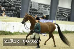 24R13_00562 thumbnail