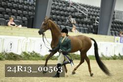 24R13_00563 thumbnail