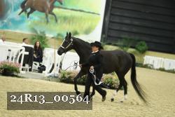 24R13_00564 thumbnail