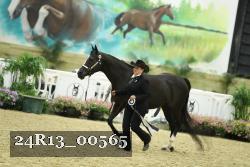 24R13_00565 thumbnail