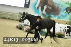 24R13_00566 thumbnail