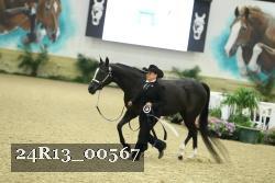 24R13_00567 thumbnail