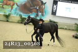 24R13_00568 thumbnail