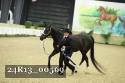 24R13_00569 thumbnail