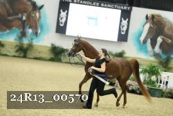 24R13_00570 thumbnail