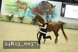 24R13_00571 thumbnail