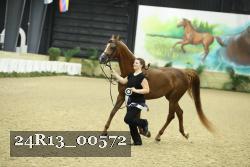 24R13_00572 thumbnail