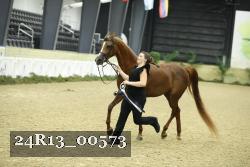 24R13_00573 thumbnail