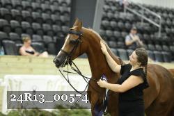 24R13_00574 thumbnail