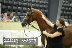 24R13_00575 thumbnail