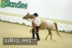 24R13_00577 thumbnail