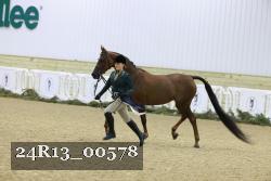 24R13_00578 thumbnail