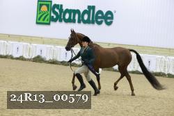 24R13_00579 thumbnail