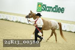 24R13_00580 thumbnail