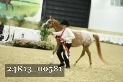 24R13_00581 thumbnail