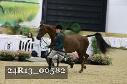 24R13_00582 thumbnail