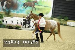 24R13_00583 thumbnail