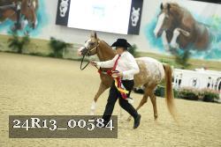 24R13_00584 thumbnail