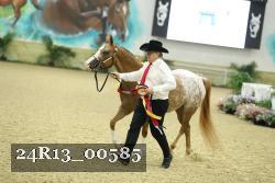 24R13_00585 thumbnail