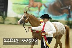 24R13_00586 thumbnail