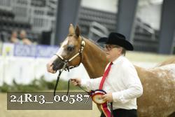 24R13_00587 thumbnail