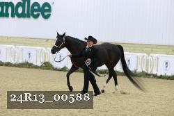 24R13_00588 thumbnail