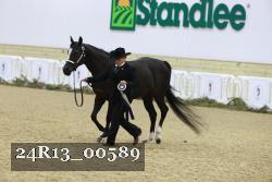 24R13_00589 thumbnail
