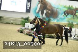 24R13_00590 thumbnail