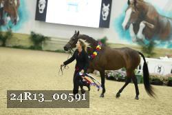 24R13_00591 thumbnail