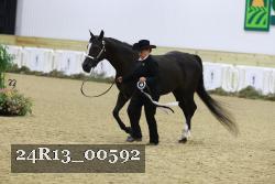 24R13_00592 thumbnail