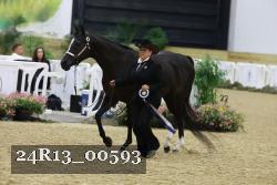 24R13_00593 thumbnail