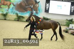24R13_00594 thumbnail