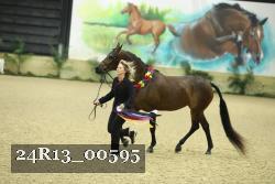 24R13_00595 thumbnail