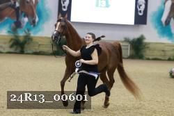 24R13_00601 thumbnail