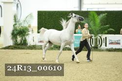 24R13_00610 thumbnail