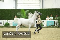 24R13_00611 thumbnail