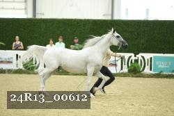 24R13_00612 thumbnail